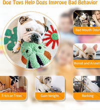 Large Squeaky Dog Toys- Plush Dog Toys with Soft Fabric for Small, Medium, and Large Dogs Daily Companionship, Training Reward Gift