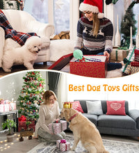Large Squeaky Dog Toys- Plush Dog Toys with Soft Fabric for Small, Medium, and Large Dogs Daily Companionship, Training Reward Gift