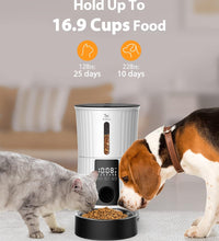 Timed Automatic Cat Feeders - 4L Programable Dry Food Dispenser for Cats and Small Medium Dogs 6 Meals with Desiccant Bag Dual Power Supply 10S Voice Recorder