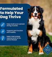 Life Protection Formula Adult Dry Dog Food, Helps Build and Maintain Strong Muscles, Made with Natural Ingredients, Chicken & Brown Rice Recipe, 30-Lb. Bag