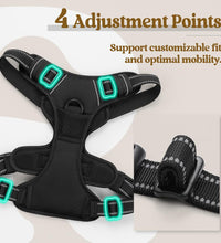 Dog Harness No Pull with 2 Leash Clips, Adjustable Soft Padded, Reflective Oxford No Choke Pet Vest with Easy Control Handle for Large Dogs, Black, L
