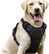 Dog Harness No Pull with 2 Leash Clips, Adjustable Soft Padded, Reflective Oxford No Choke Pet Vest with Easy Control Handle for Large Dogs, Black, L