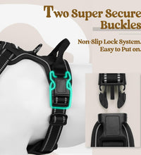 Dog Harness No Pull with 2 Leash Clips, Adjustable Soft Padded, Reflective Oxford No Choke Pet Vest with Easy Control Handle for Large Dogs, Black, L