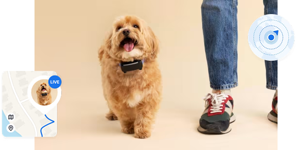 Precise GPS Tracking