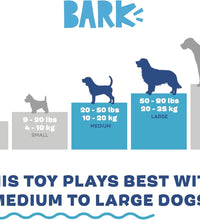 2 in 1 Interactive Plush Dog Toy - Rip and Reveal Toy for Dogs and Puppies - Stimulating Squeaky Pet Toys | Consuela Cactus (Large)