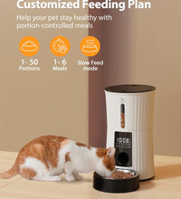 Timed Automatic Cat Feeders - 4L Programable Dry Food Dispenser for Cats and Small Medium Dogs 6 Meals with Desiccant Bag Dual Power Supply 10S Voice Recorder