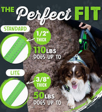 Retractable Dog Leash 2.0 | 16' Heavy Duty Reflective Nylon Tape Lead for Pets up to 0-50 Lbs. Tangle Free Design W/One Touch Quick-Lock Braking System & Anti-Slip Handle (Green/Lite)