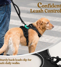 Dog Harness No Pull with 2 Leash Clips, Adjustable Soft Padded, Reflective Oxford No Choke Pet Vest with Easy Control Handle for Large Dogs, Black, L