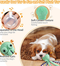 Large Squeaky Dog Toys- Plush Dog Toys with Soft Fabric for Small, Medium, and Large Dogs Daily Companionship, Training Reward Gift
